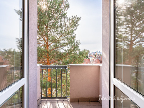 foto10_11517526_52298.jpg