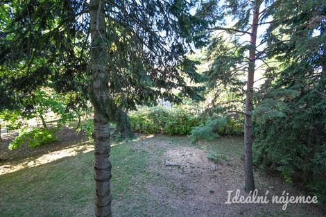 foto10_11550743_35257.jpg