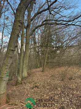 foto05_11479001_5uvhm.jpg