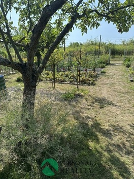 foto05_11539879_9fr8m.jpg
