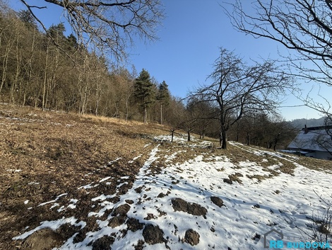 foto05_11254267_3roe2.jpg