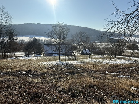 foto05_11254267_979k4.jpg