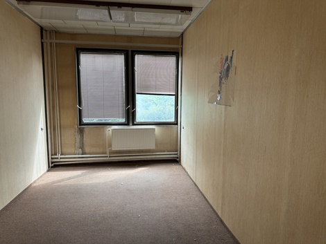 foto05_11520120_6jge0.jpg