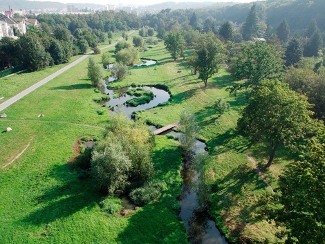 foto05_11525314_1qav4.jpg