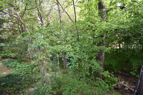 foto13_11316777_74027.jpg