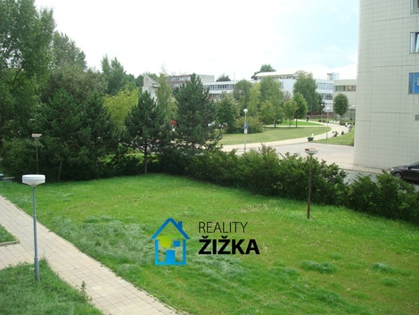 foto05_11506679_4pqri.jpg
