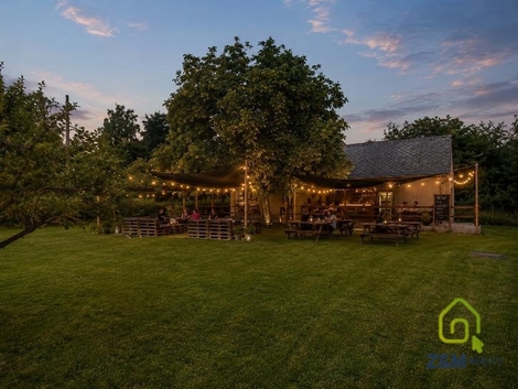 foto16_11527280_06236.jpg