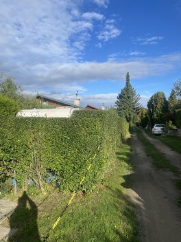 foto15_11383214_30204.jpg