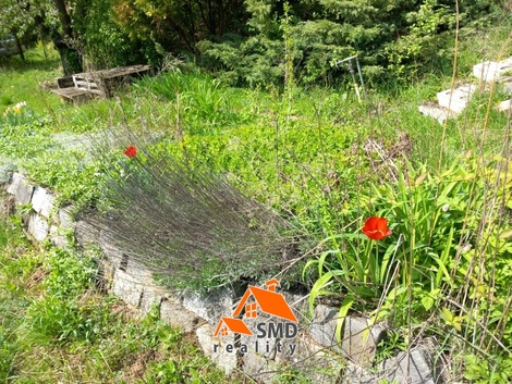 foto05_11552083_87vlu.jpg