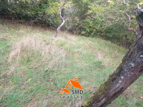 foto05_11567408_6ojvo.jpg