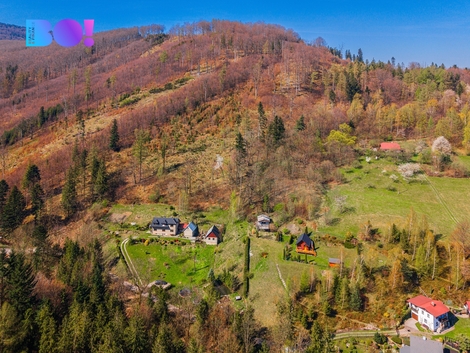 foto16_11485628_35714.jpg
