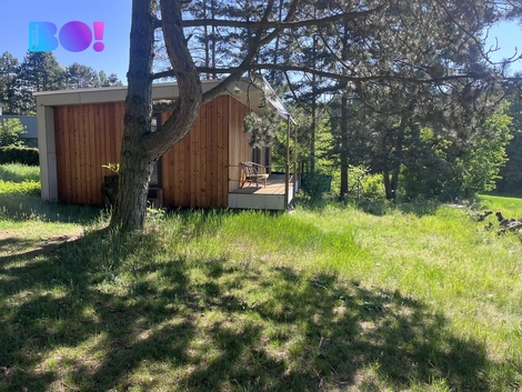 foto16_11498738_05799.jpg