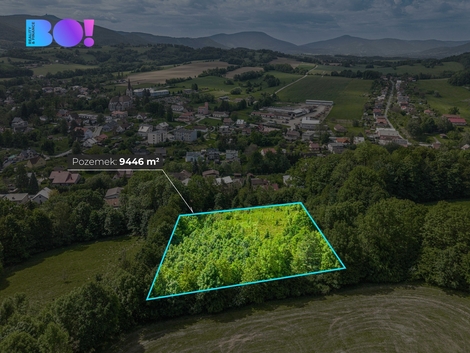 foto16_11506607_20977.jpg