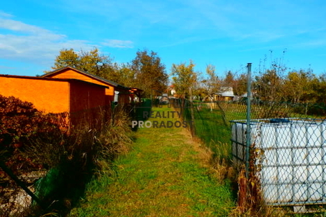 foto16_11464994_81073.jpg