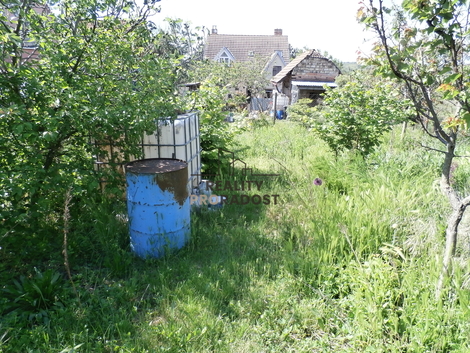 foto16_11497489_77585.jpg