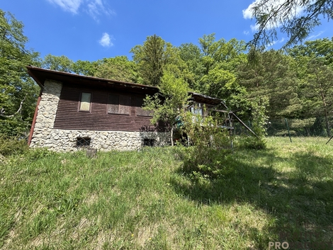 foto16_11502199_33529.jpg