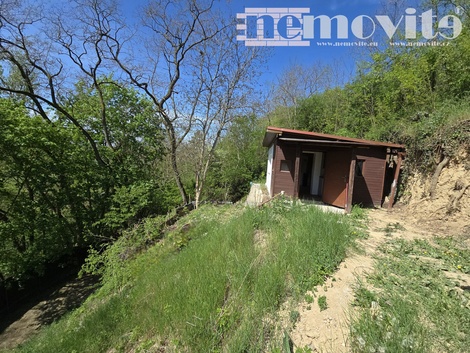 foto05_11475693_8fqou.jpg