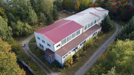 foto05_11242603_2qho4.jpg