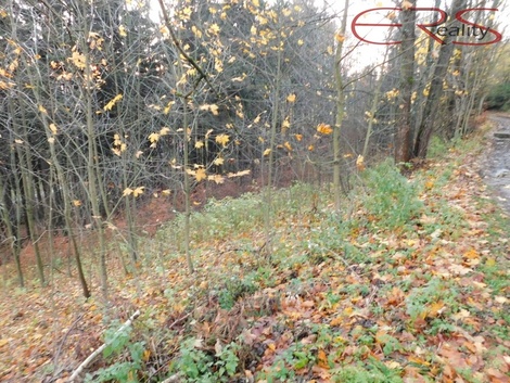 foto05_11491335_1k9o.jpg