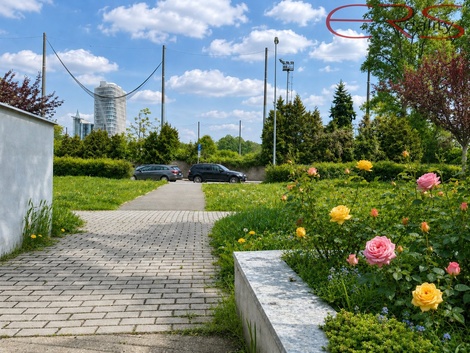 foto05_11495182_6386g.jpg