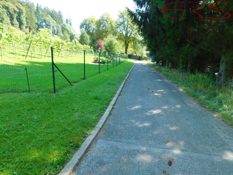 foto05_11527703_81ibk.jpg