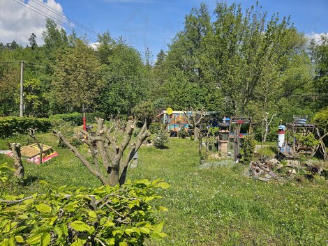 foto21_11338525_23210.jpg