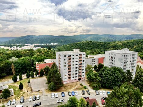 foto21_11527726_51191.jpg