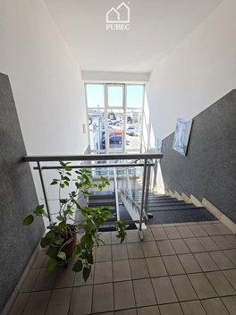 foto05_11501166_1advk.jpg