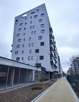 foto05_11461803_ju2e.jpg
