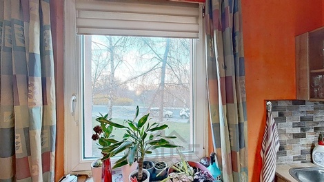 foto05_11473998_2pnsa.jpg