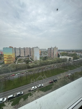 foto05_11480917_3n8ia.jpg
