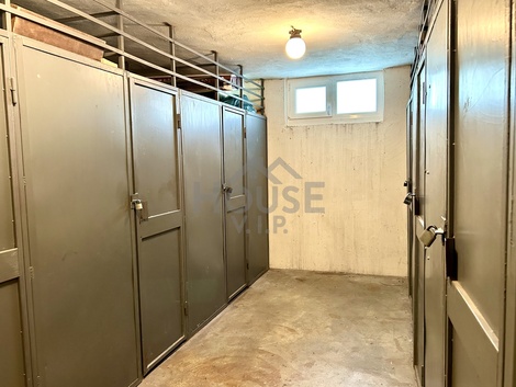 foto05_11484462_5t43q.jpg