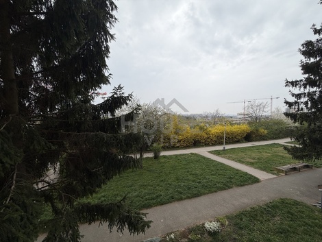 foto05_11486395_6nod8.jpg