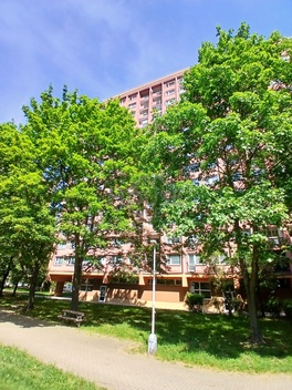 foto05_11492441_5pg80.jpg