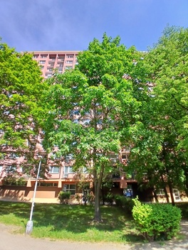 foto05_11492441_8ltoa.jpg