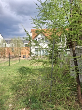 foto05_11497429_6c5he.jpg
