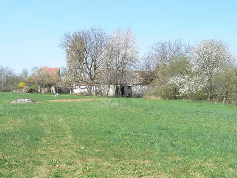 foto05_11510829_2mtrm.jpg