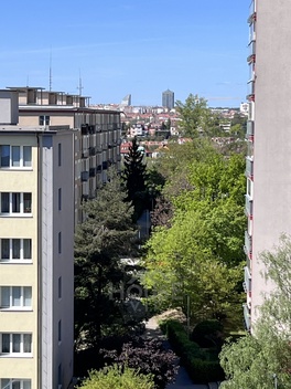 foto05_11552167_2cp1a.jpg