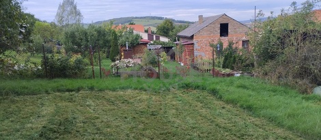 foto05_11555763_39kt2.jpg