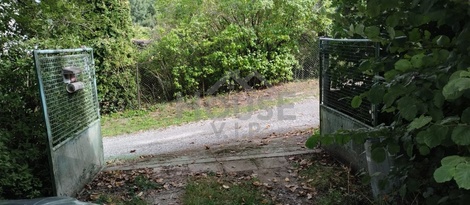foto05_11555763_7alu4.jpg