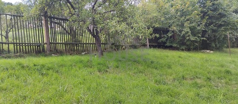 foto05_11555763_7upas.jpg
