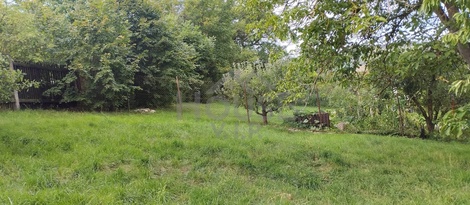 foto05_11555763_803ka.jpg