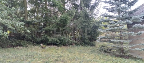 foto05_11555763_ggho.jpg