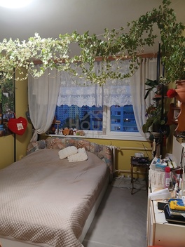 foto05_11555765_8qvl8.jpg