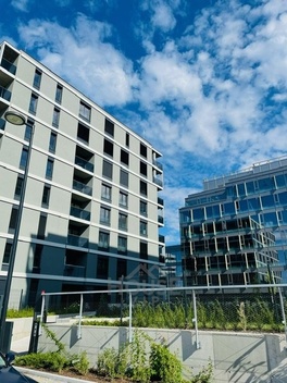 foto05_11559286_1vfia.jpg