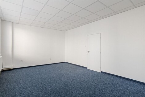 foto04_11383011_h4fig.jpg