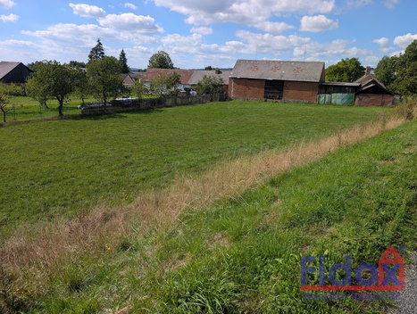 foto05_11560862_4jnkm.jpg