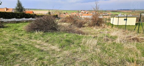 foto04_11013482_r0y04.jpg