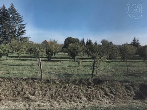 foto04_11068470_ilhjk.jpg
