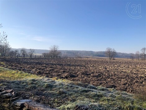 foto04_11245067_13ry0.jpg